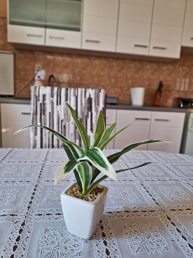 Mara Apartment Zadar Bagian luar foto